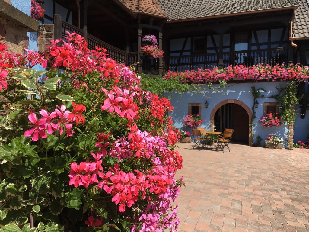 Hotel Kieffer Itterswiller Zewnętrze zdjęcie
